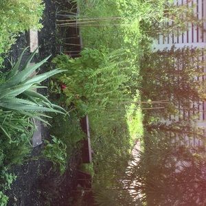 Meet your Posher, Edilma